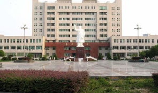 武汉有哪些新建大学，武汉学院光谷校区