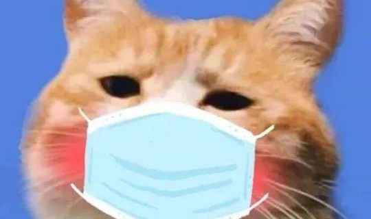 河南郑州疫情最新动态实时?郑州的疫情情况如何了 河南郑州疫情最新动态实时?郑州的疫情情况如何了