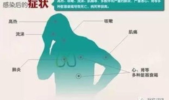 贵州最新疫情实时公布消息？最新禽流感疫情消息