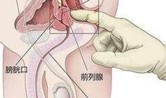 精油按摩教程(自己按摩前列腺视频教程)