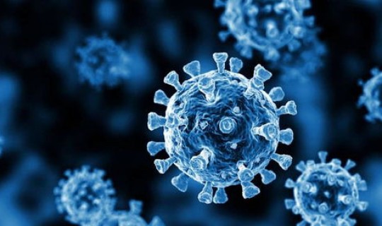 感染了新冠病毒怎么办，新冠合并细菌感染怎么办