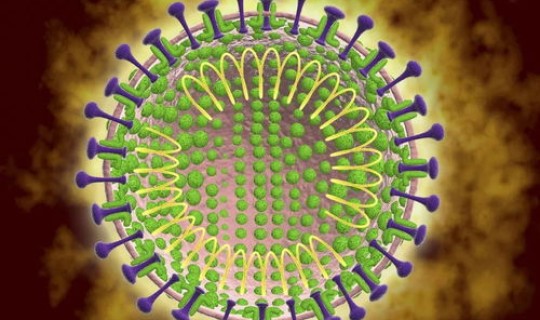 新冠病毒德尔塔病毒的症状 新型冠状病毒性肺炎症状