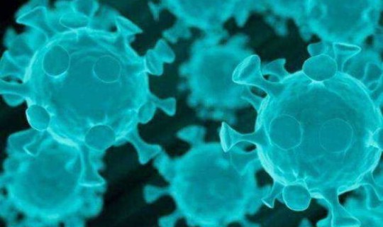 新冠病毒最早发现地	，新冠病毒症状