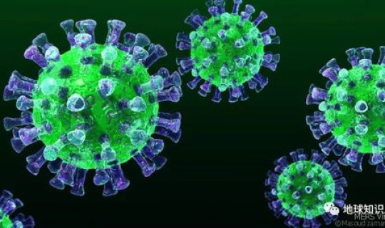 新冠病毒德尔塔毒株致死率(猪德尔塔属于什么病毒)