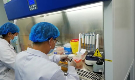 江西省做核酸检测需要多久，hpv核酸检测