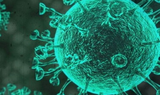 现在有那些国家没有新冠状病毒了，哪一个国家没有新冠病毒