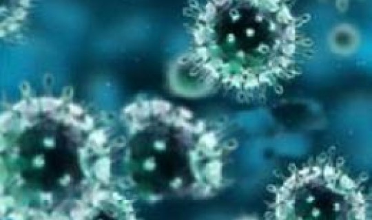 隐性感染的病毒？病毒性传染病有哪些