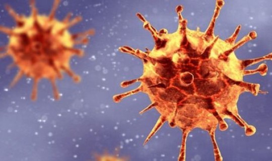 英国新冠病毒感染率高吗 新冠病毒的死亡率