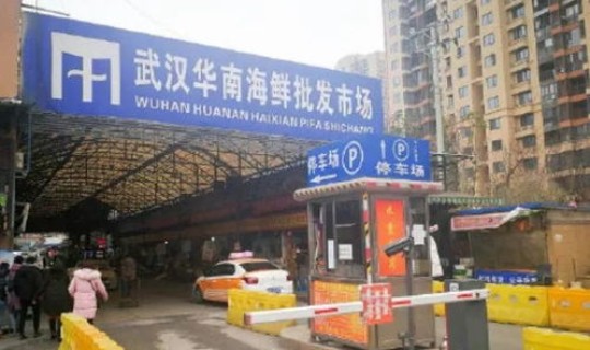 石家庄疫情封城了多久，武汉疫情什么时候封城