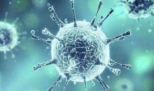 青岛的三例无症状感染者？山东青岛发现1例无症状感染者