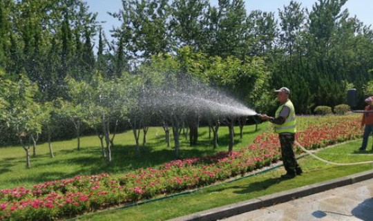 青岛市绿化养护规范，绿化养护技术标准及要求