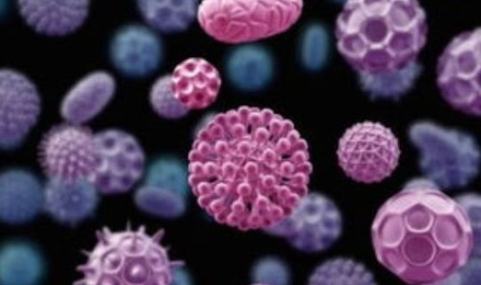 上海感染病毒死亡23人了吗？上海有病毒吗