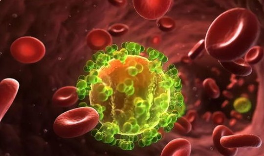 病毒多久会消失掉(体内的病毒会不会消失)