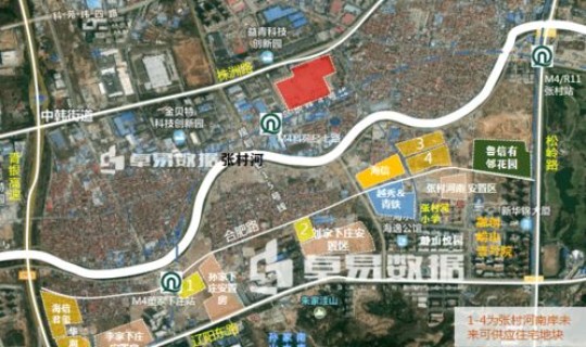 青岛的绿化面积比例，青岛市城区面积