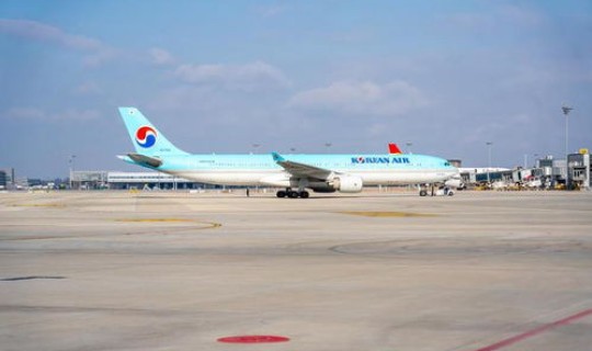 青岛航班最新情况，青岛国际航空公司