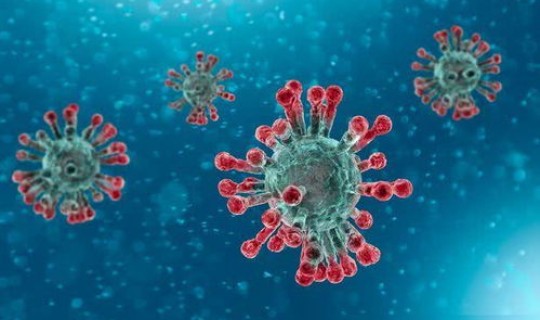 阳江新冠肺炎疫情 肺炎病毒