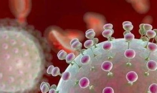 北京食品厂发现新冠病毒，冠型病毒症状