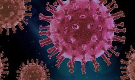 吉林新冠感染源找到了(吉林省冠形病毒)