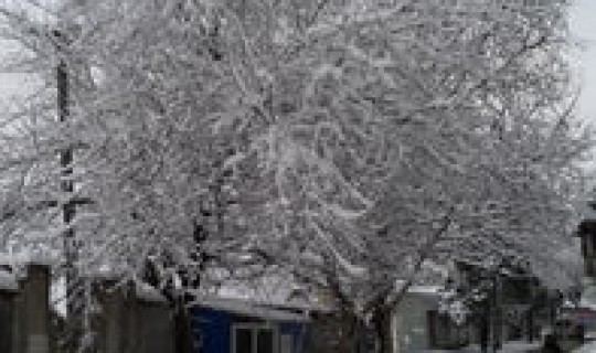 春节期间会不会封路(春节期间会下雪吗)