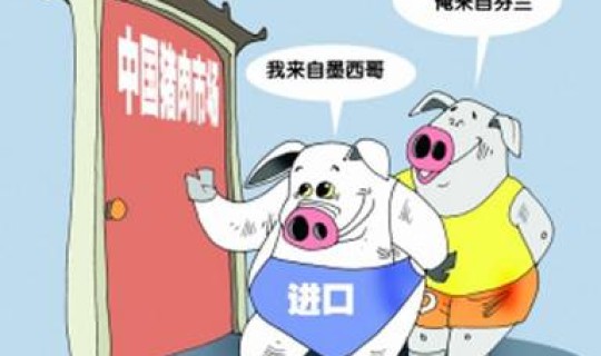 河南对疫情作出的措施(中国疫情放开的真实原因)