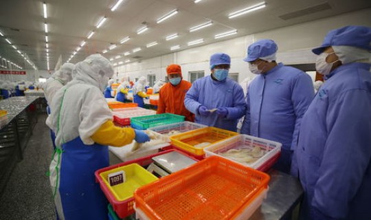 大连进口冷链食品，国内十大冷冻肉进口公司