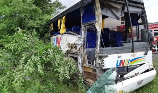 疫情死亡总人数中国 车祸死亡人数