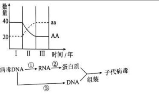 病毒变异可控吗(乙肝病毒变异)