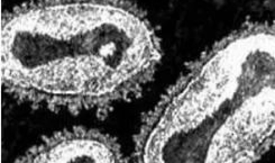 中国现在还有天花吗，现在还有得天花的人吗