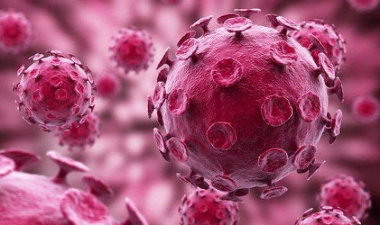 江苏病毒来源于哪里，冠状病毒哪里来的