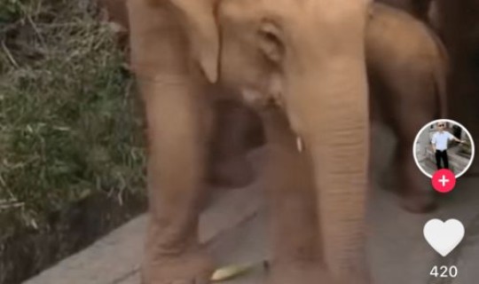 钟南山医术事迹？钟南山大学在哪个医院