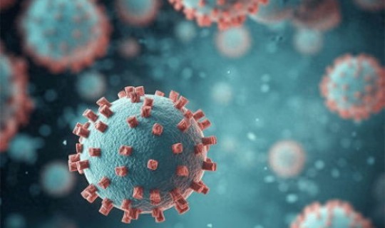 英国新冠病毒株是哪一种病毒(新型冠状病毒传染途径)