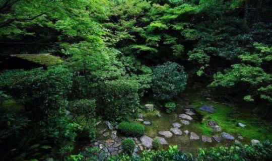 返景入深林复照青苔上前一句?返景入深林全诗 返景入深林复照青苔上前一句?返景入深林全诗