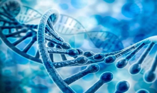 进海南需要核酸检测吗(核酸检测为什么不能排除hiv)