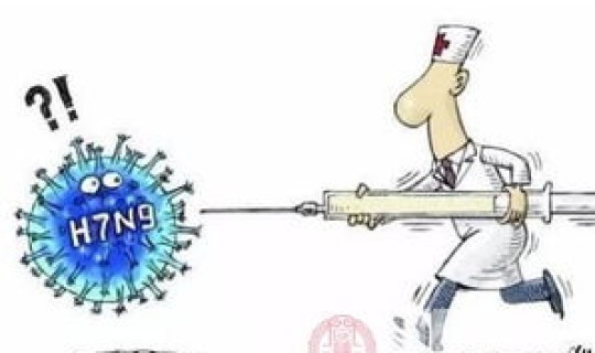 本次疫情发病时间？禽流感疫情