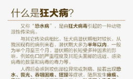 西安今日病例最新消息(西安近年狂犬病发病几例) 西安今日病例最新消息(西安近年狂犬病发病几例)