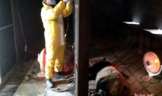 陕西疫情死了多少人(疫情多少人死亡)