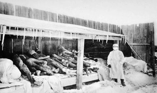 近年鼠疫事件 鼠疫害死了多少人