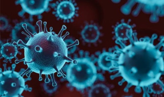 变异病毒来自美国？病毒是怎么变异的