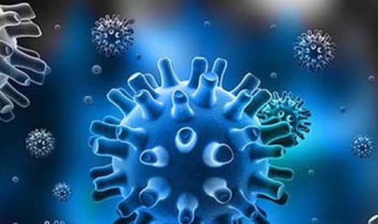 现在病毒变异了多少次 病毒越变异越厉害吗