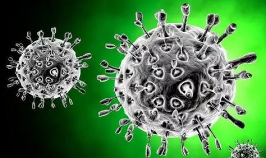 英国新型冠状病毒新毒株有几种，新冠病毒是几级病毒