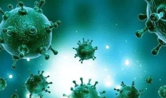 德尔塔毒株是那里来的？中国第一个德尔塔毒株