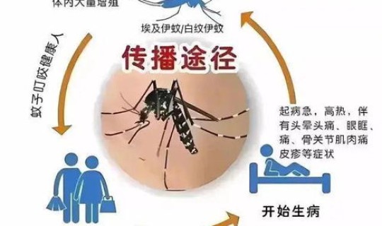 登革热病例搜索范围，登革热的早期症状