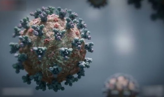 世卫组织新冠病毒变异 导致新冠病毒变异的原因