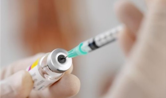 病毒变异需要多久时间 新冠病毒变异原因和时间是什么