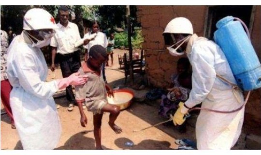 石家庄疫情源头，新冠疫情源头到底是哪里