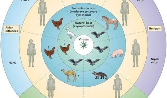 病毒变异2021(病毒是生物吗)
