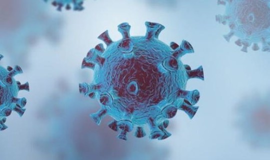 现在没有新冠病毒的国家 冠形病毒