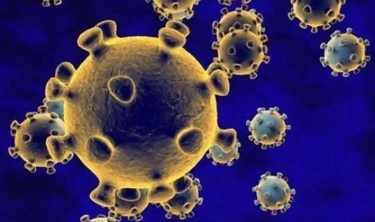 河南哪里又出现一例新冠病毒了，河南还有几例新冠状病毒