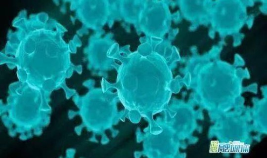 新冠病毒变异德尔塔病毒 新冠德尔塔之前的病毒叫什么