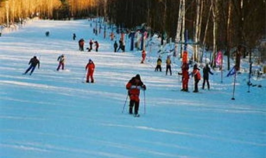 黑龙江省铁力县(伊春好还是铁力好)